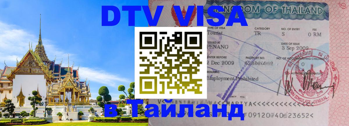 Сколько стоит DTV виза — актуальные цены, оформление даже без документов - Курган 